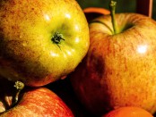 Goda och nyttiga äpplen. Bild från fotogrph.com.